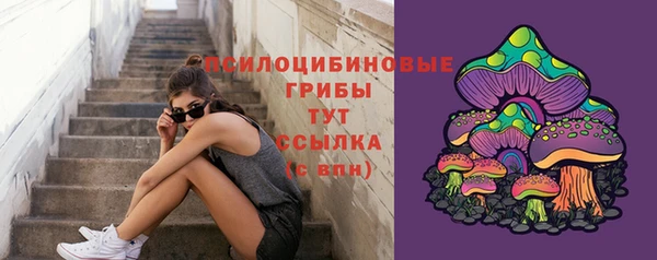 ECSTASY Балахна
