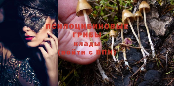 дмт Балабаново