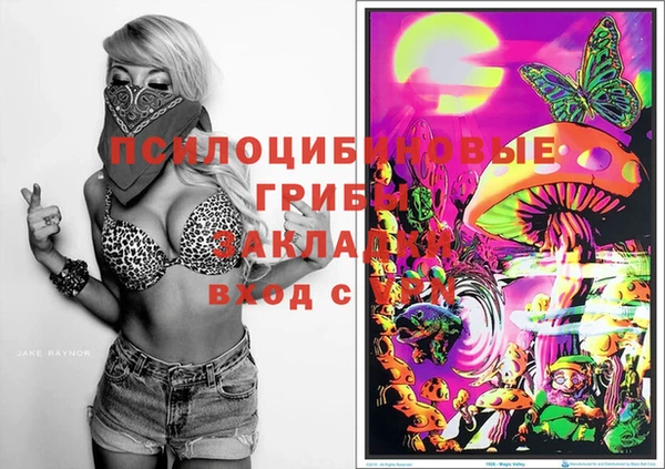 спиды Баксан
