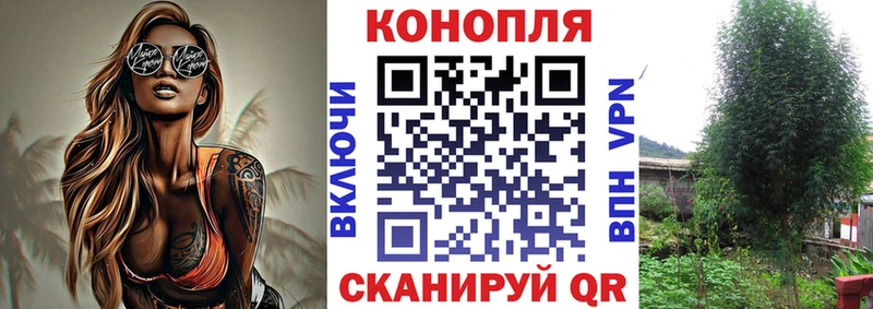 Купить где  Великий Устюг  Марихуана конопля 
